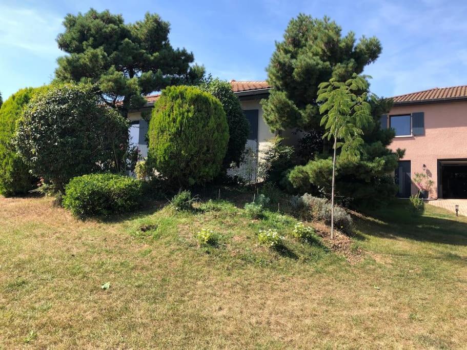 Logements Chaleureux Dans Maison Avec Piscine A 35 Min De Lyon Alix Bagian luar foto